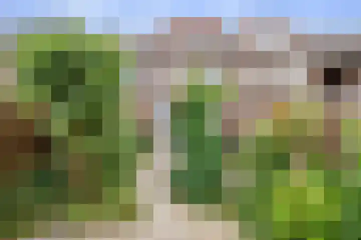 Eem 15 Nieuwerkerk aan den IJssel thumbnail 4