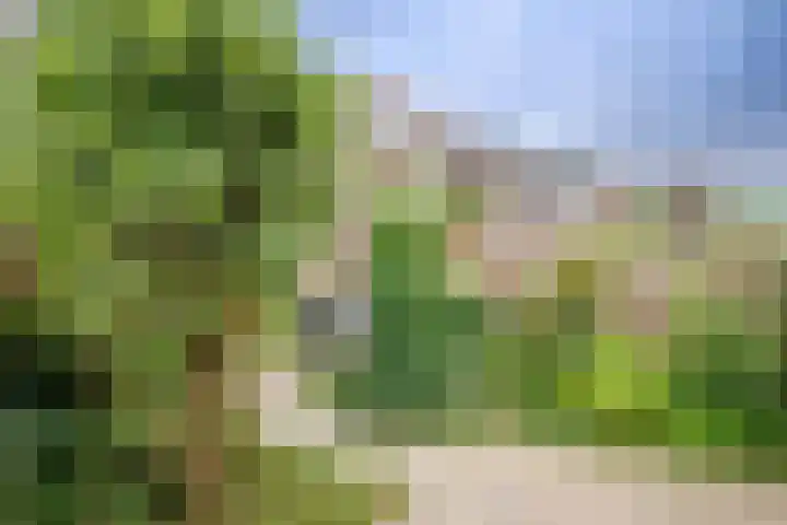 Eem 15 Nieuwerkerk aan den IJssel thumbnail 41
