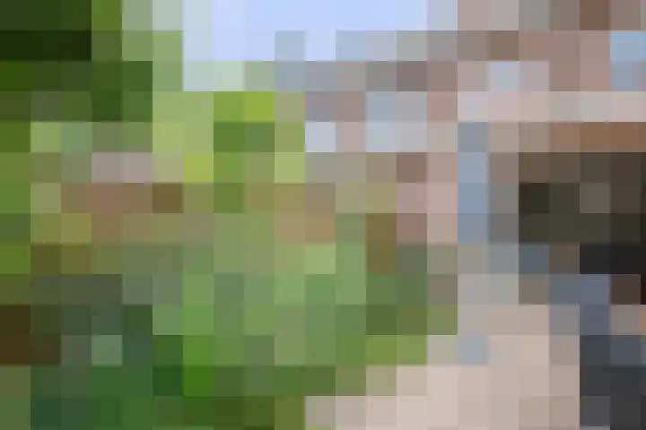 Eem 15 Nieuwerkerk aan den IJssel thumbnail 42