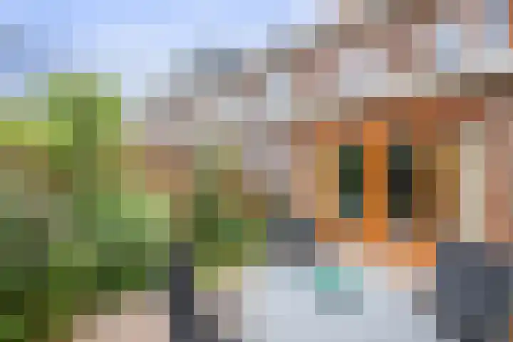 Eem 15 Nieuwerkerk aan den IJssel thumbnail 43