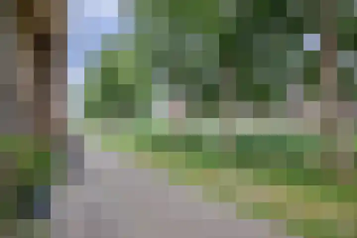 Eem 15 Nieuwerkerk aan den IJssel thumbnail 44