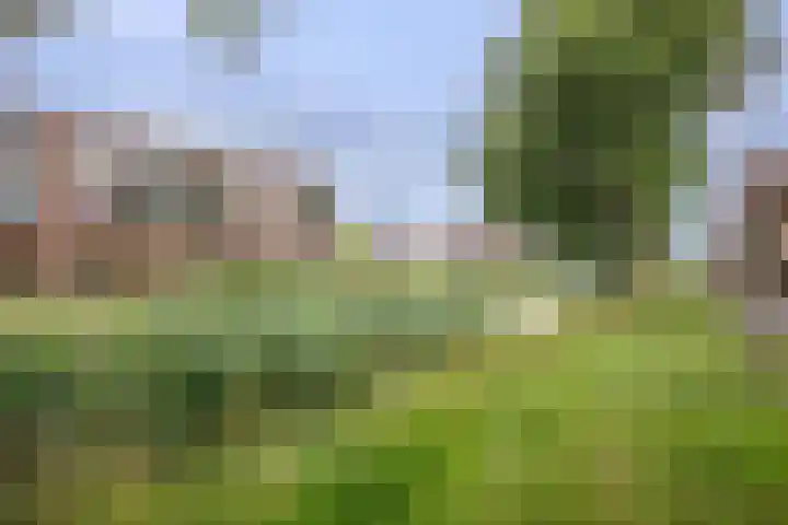 Eem 15 Nieuwerkerk aan den IJssel thumbnail 46