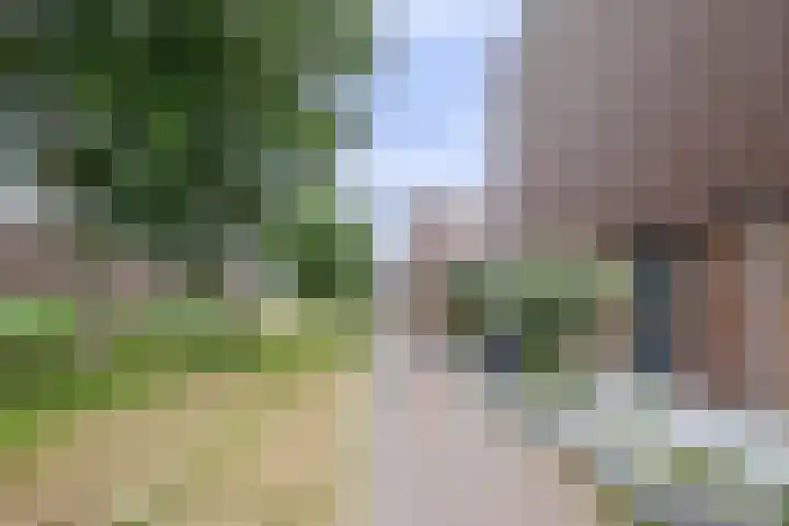 Eem 15 Nieuwerkerk aan den IJssel thumbnail 47