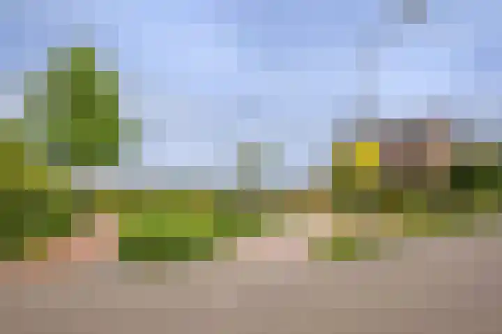 Eem 15 Nieuwerkerk aan den IJssel thumbnail 48
