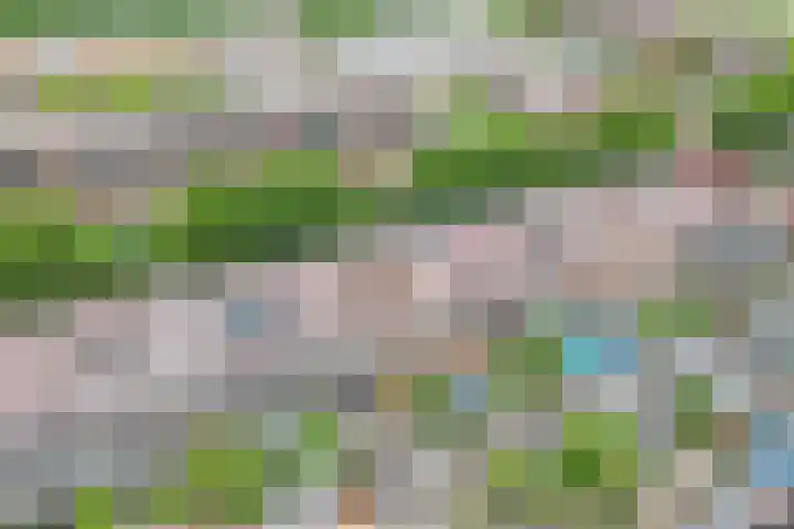Eem 15 Nieuwerkerk aan den IJssel thumbnail 52