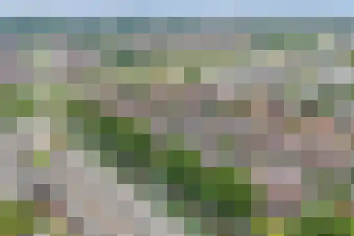 Eem 15 Nieuwerkerk aan den IJssel thumbnail 53