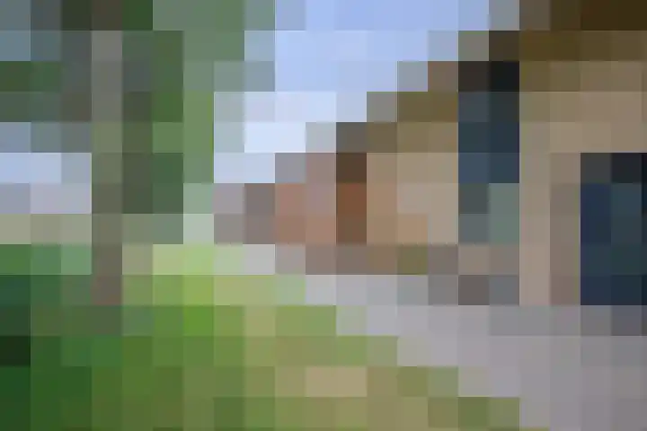 Eem 15 Nieuwerkerk aan den IJssel thumbnail 7