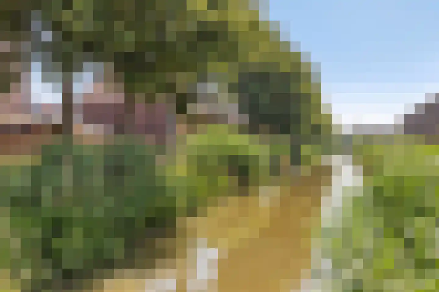 Eem 21 Nieuwerkerk aan den IJssel thumbnail 24