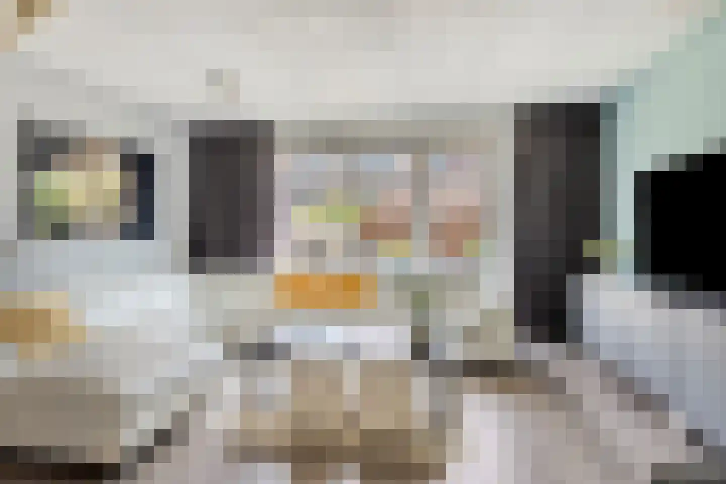Eem 21 Nieuwerkerk aan den IJssel thumbnail 6