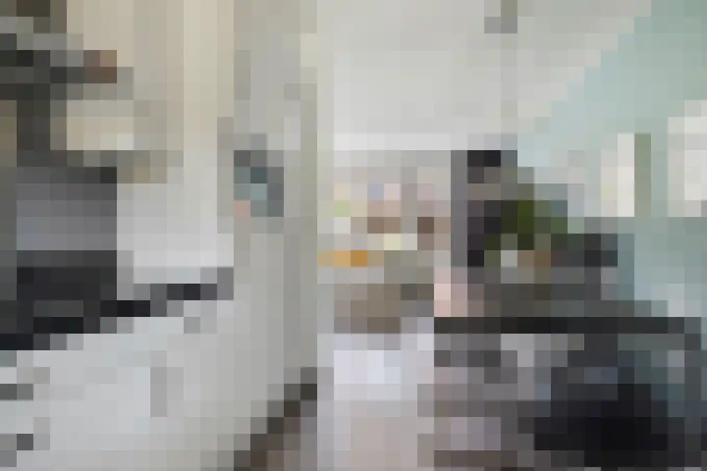Eem 21 Nieuwerkerk aan den IJssel thumbnail 9