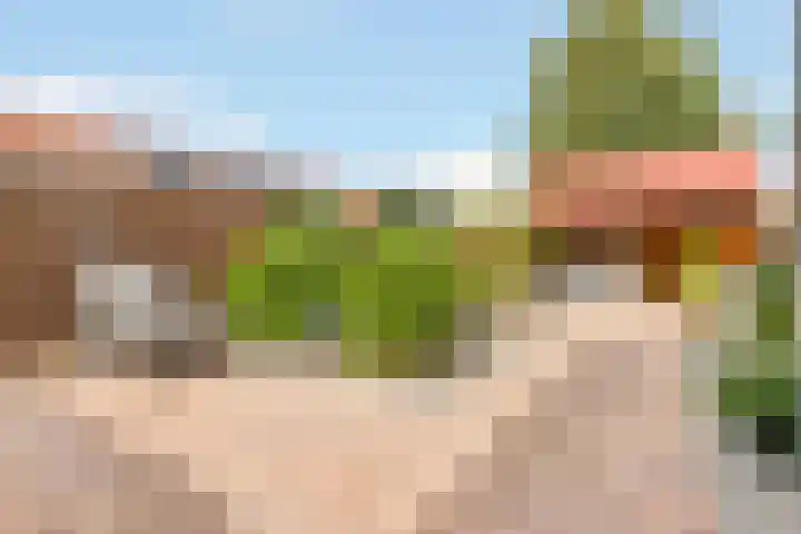 Eem 24 Zeewolde thumbnail 29