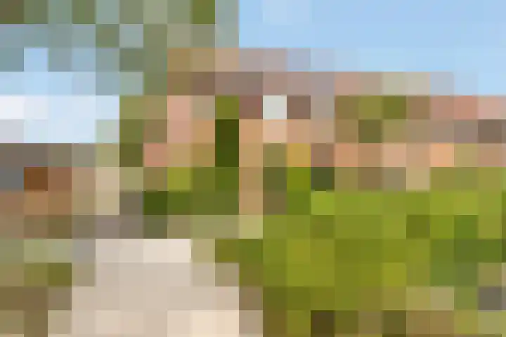 Eem 24 Zeewolde thumbnail 4