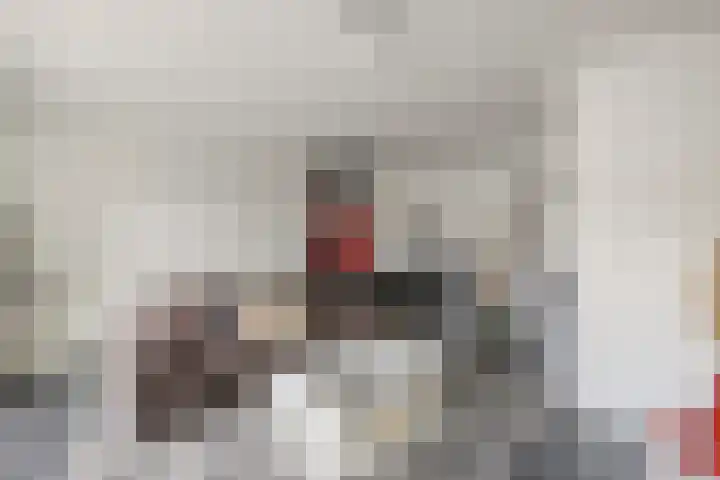 Eem 26 Lelystad thumbnail 16