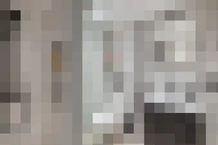 Eem 26 Lelystad thumbnail 4