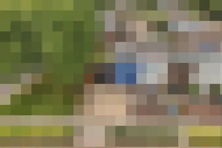 Eem 26 Lelystad thumbnail 6