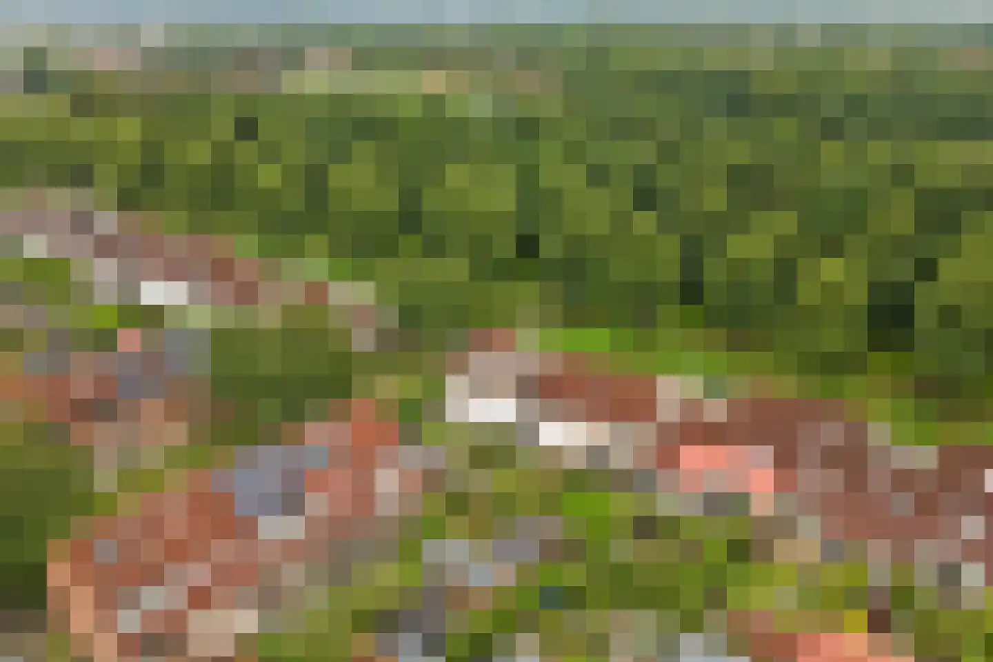 Eem 33 Zeewolde thumbnail 39