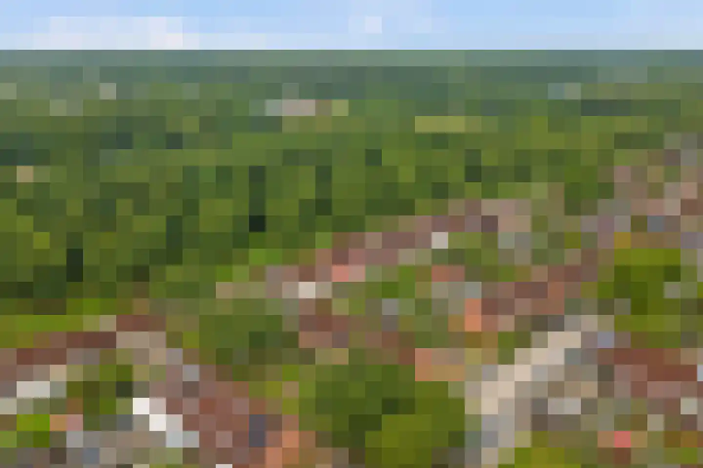 Eem 33 Zeewolde thumbnail 40