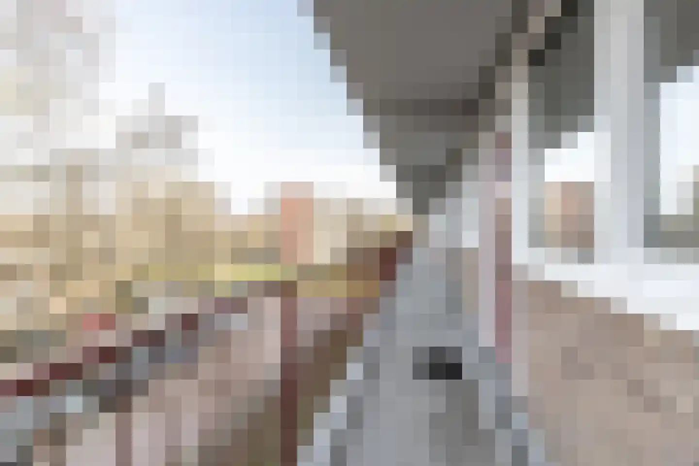 Eem 39 Assen thumbnail 23
