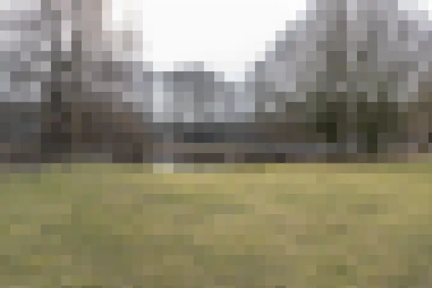 Eem 39 Assen thumbnail 35
