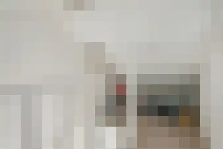 Eem 4 Pijnacker thumbnail 12