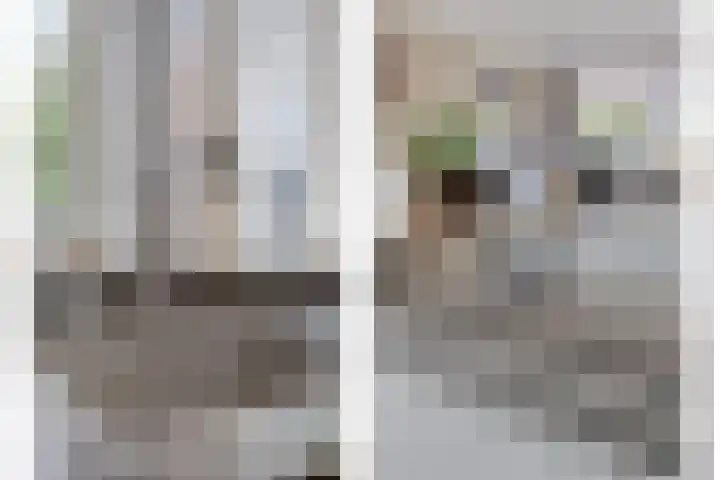 Eem 4 Pijnacker thumbnail 14