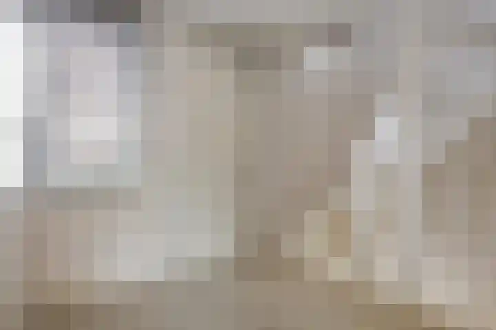 Eem 4 Pijnacker thumbnail 19