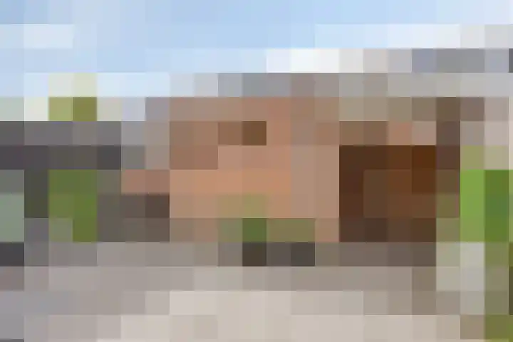 Eem 4 Pijnacker thumbnail 27