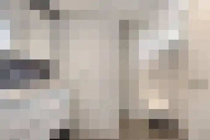 Eem 4 Pijnacker thumbnail 4