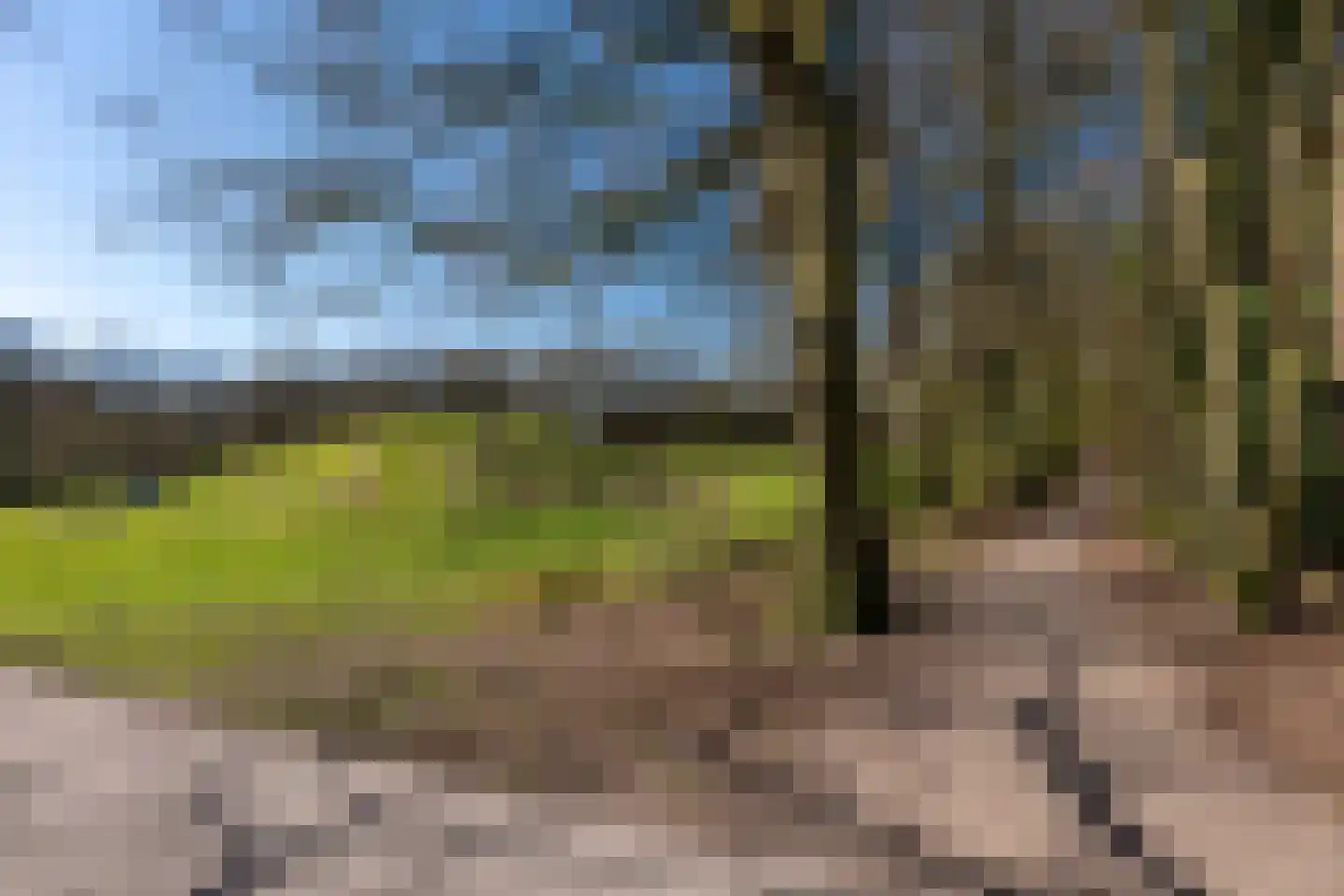 Eem 41 Assen thumbnail 25