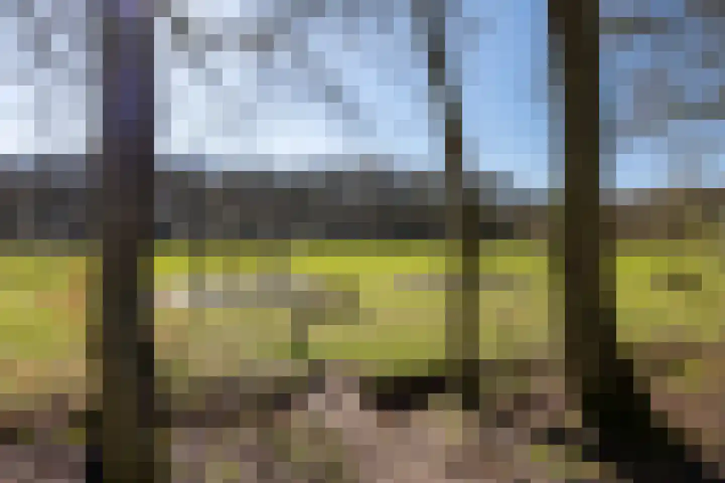 Eem 41 Assen thumbnail 26