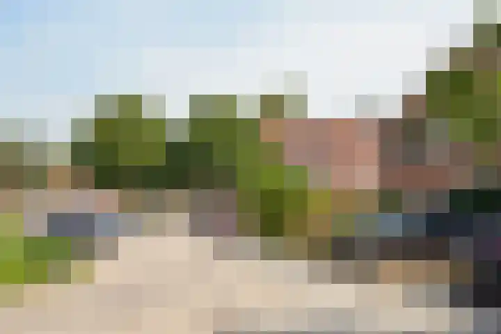 Eem 43 Zeewolde thumbnail 18