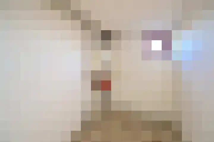 Eem 49 Huizen thumbnail 13