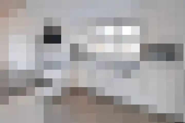 Eem 49 Huizen thumbnail 7