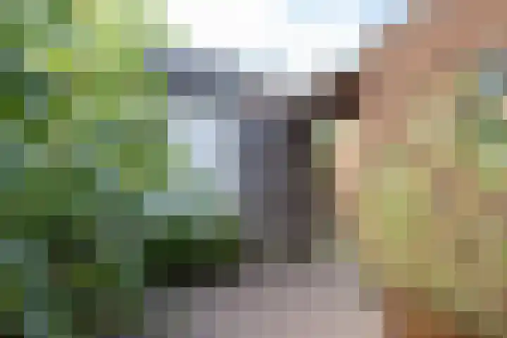 Eem 67 Assen thumbnail 29