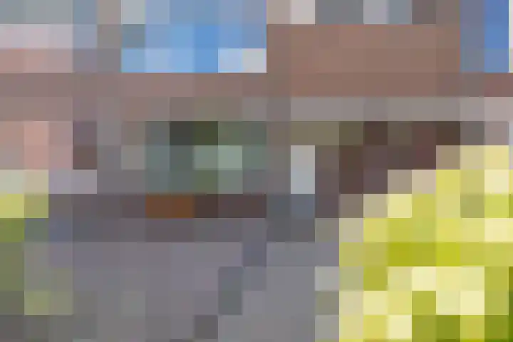 Eem 67 Assen thumbnail 34