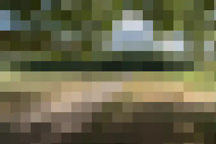 Eem 67 Assen thumbnail 36