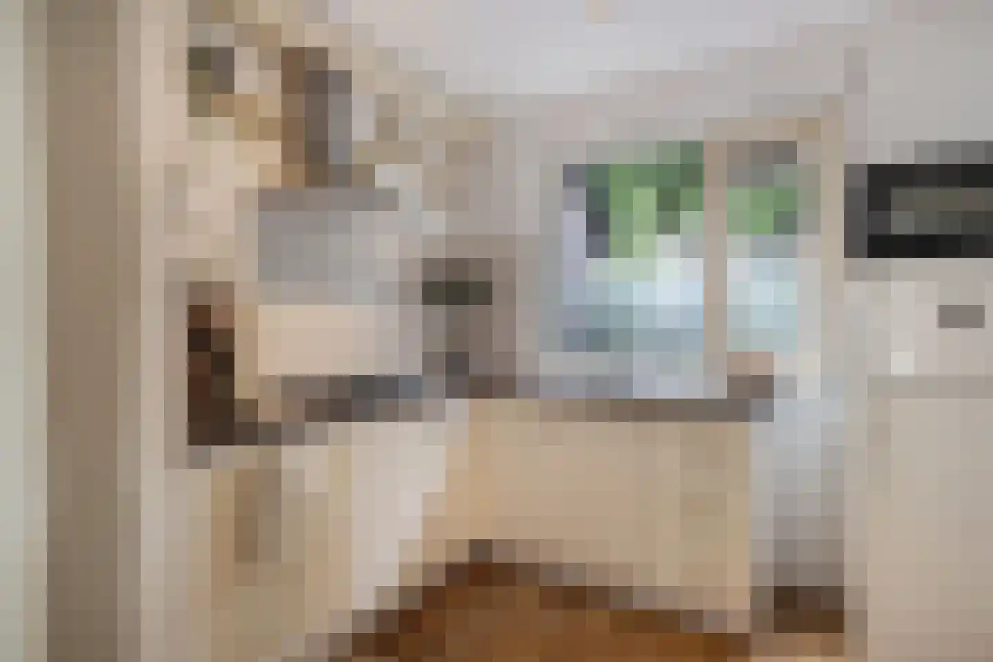 Eem 81 Huizen thumbnail 11