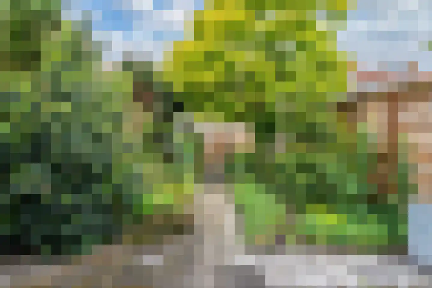 Eem 81 Huizen thumbnail 25