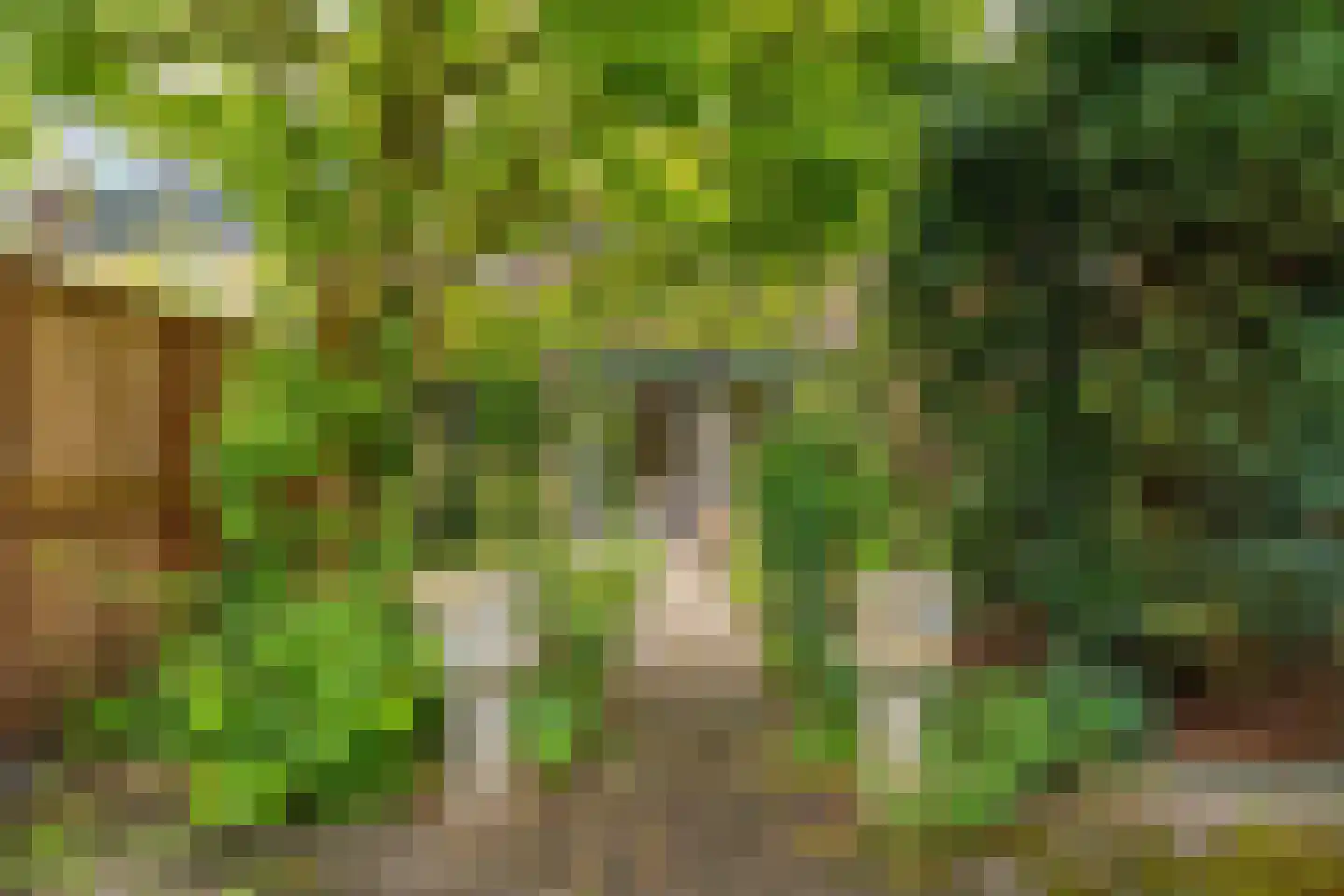 Eem 81 Huizen thumbnail 28