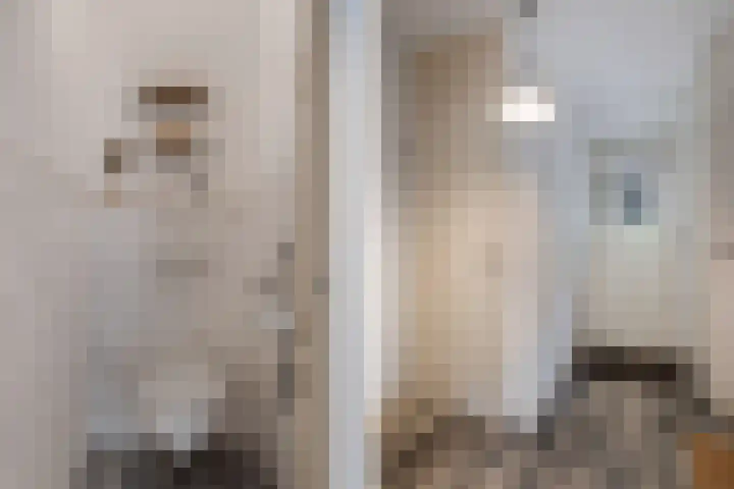 Eem 81 Huizen thumbnail 6