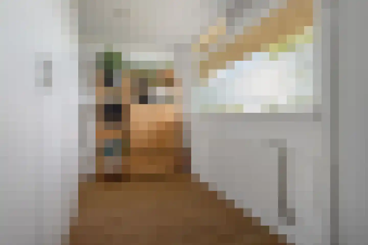 Eemborg 417 Baarn thumbnail 11