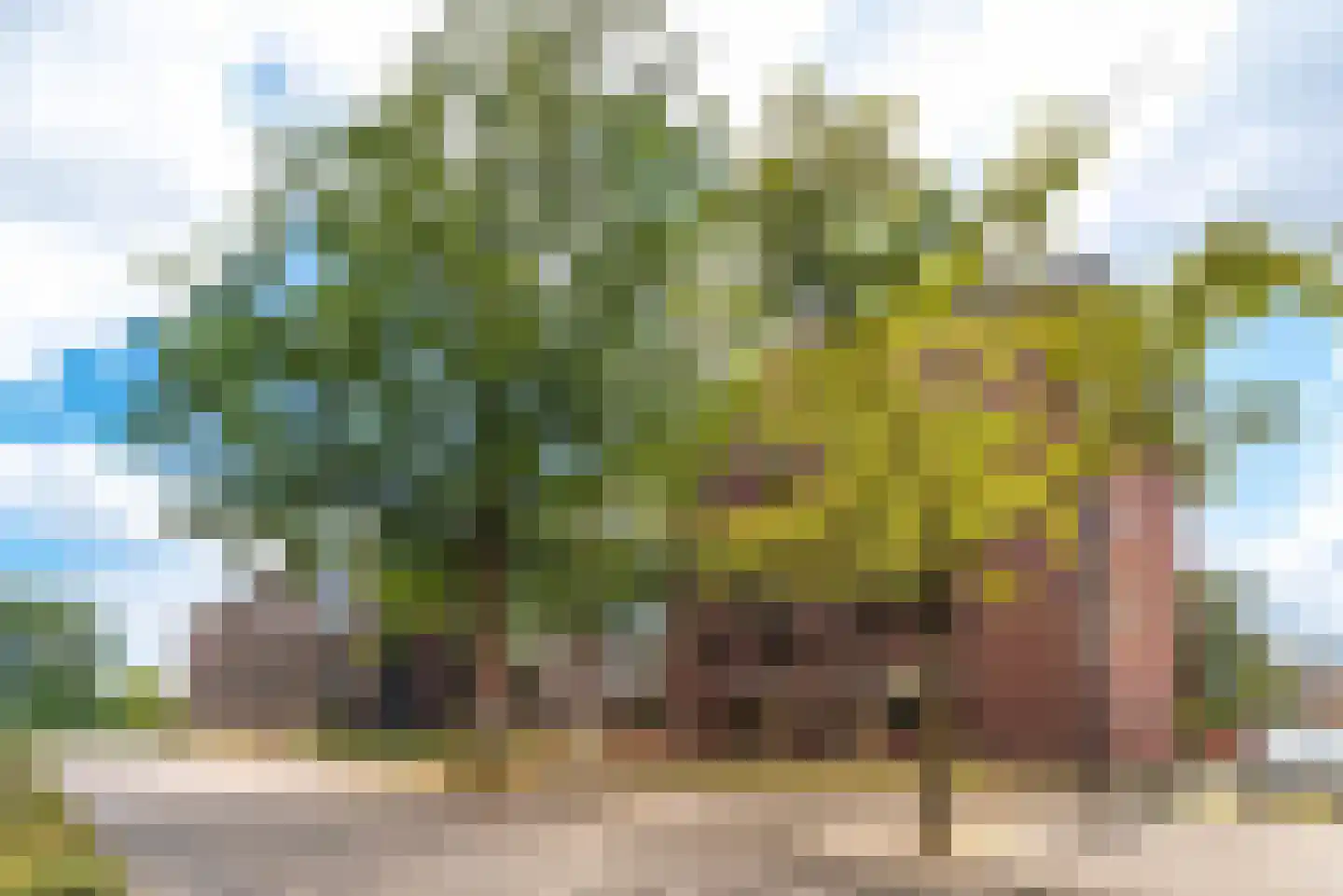 Eemborg 423 Baarn thumbnail 22