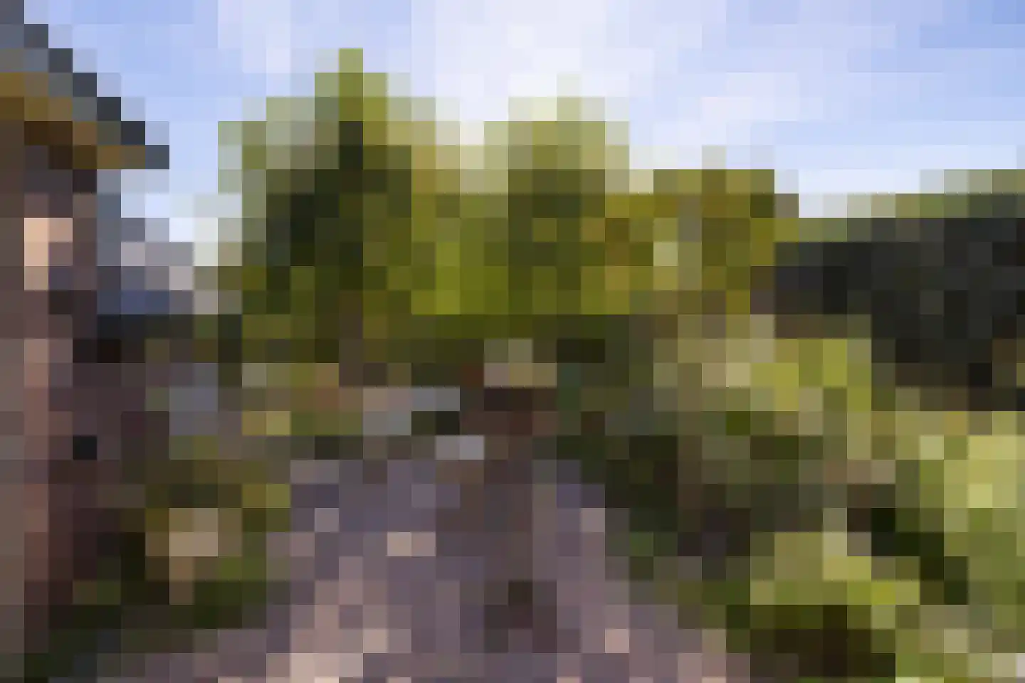 Eemdijk 116 Eemdijk thumbnail 75