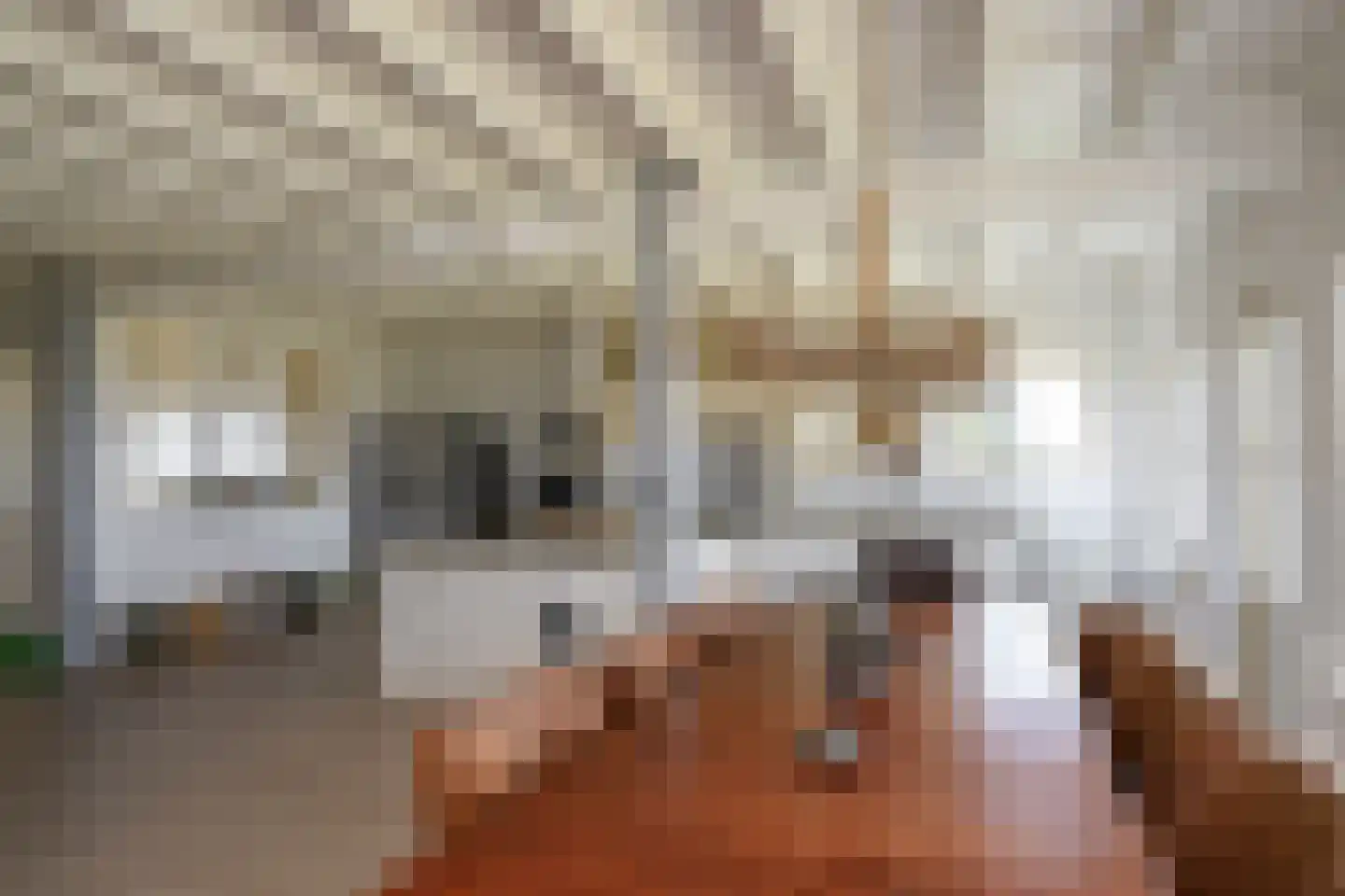 Eemdijk 134 Eemdijk thumbnail 15