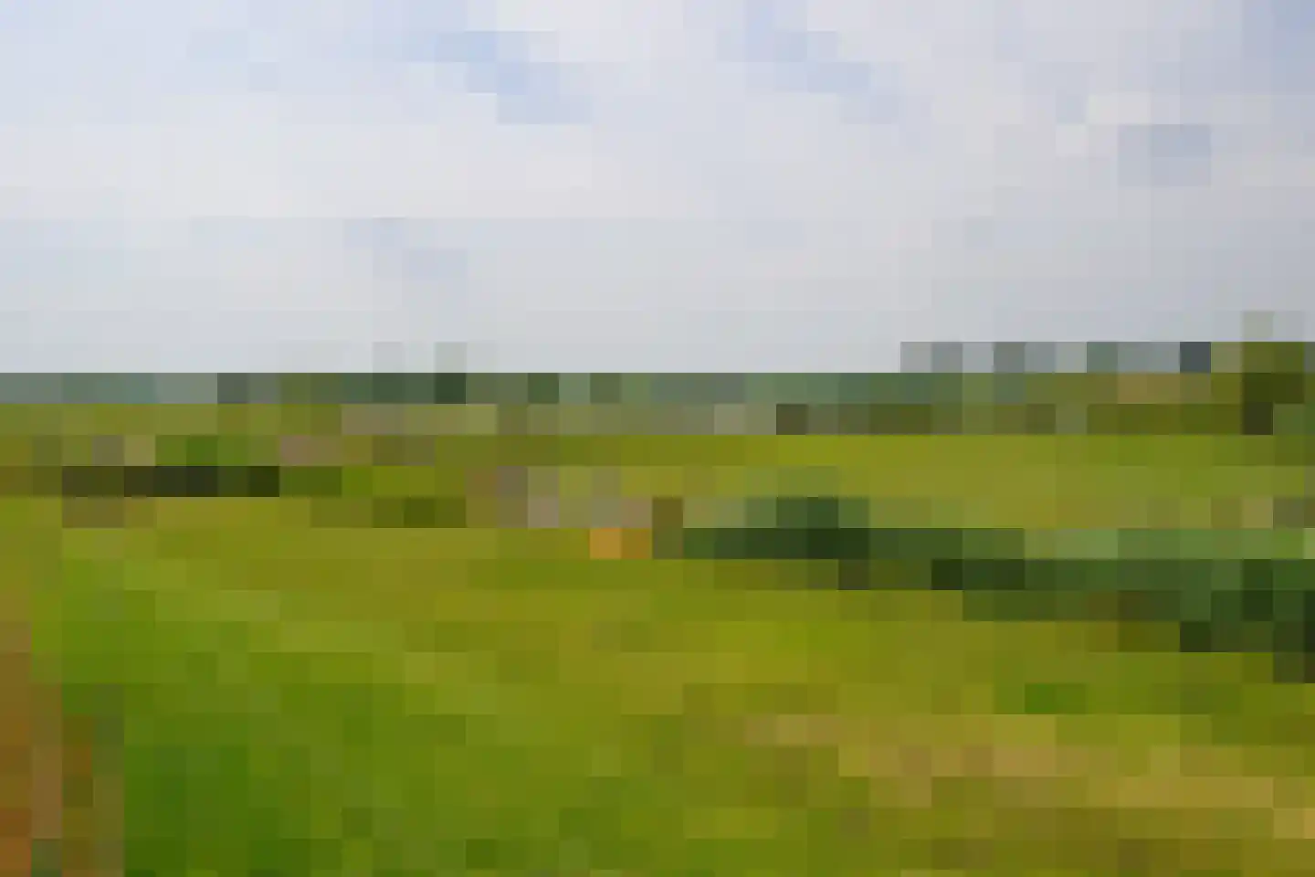 Eemdijk 134 Eemdijk thumbnail 59