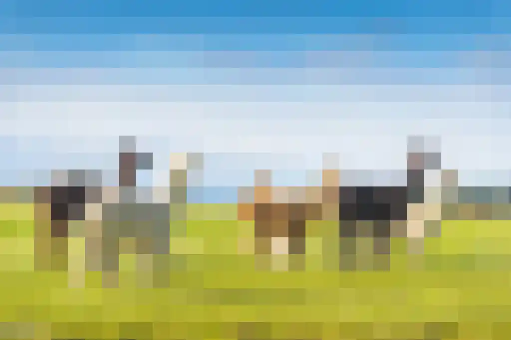 Eemdijk 134 Eemdijk thumbnail 64