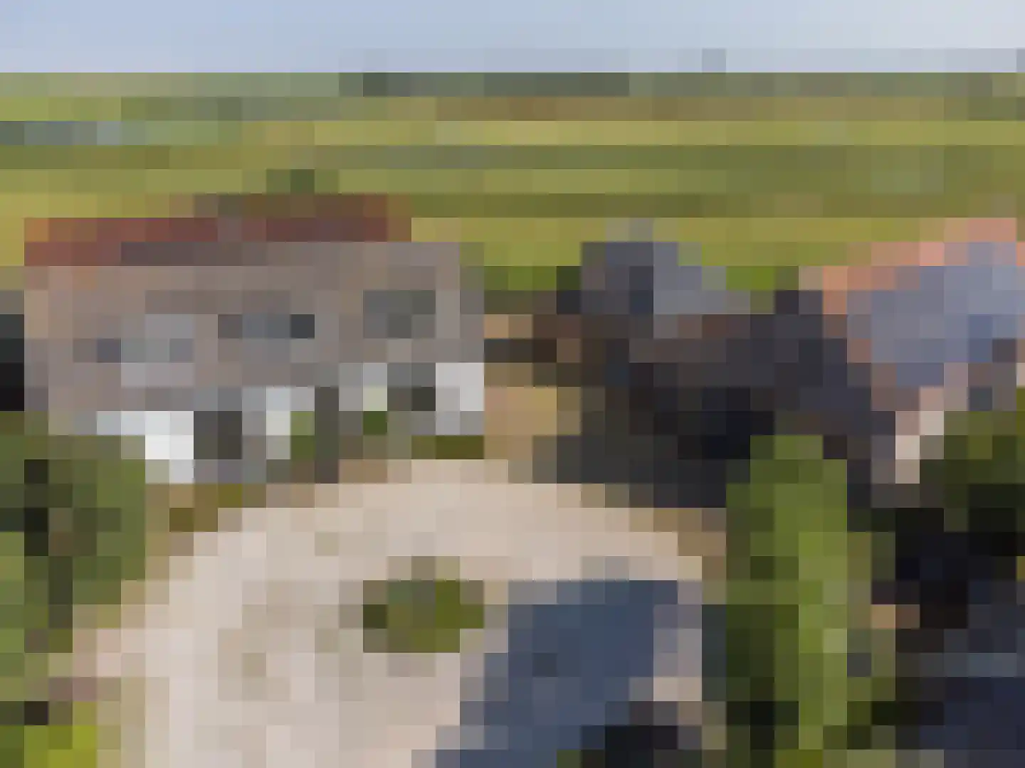 Eemdijk 134 Eemdijk thumbnail 7