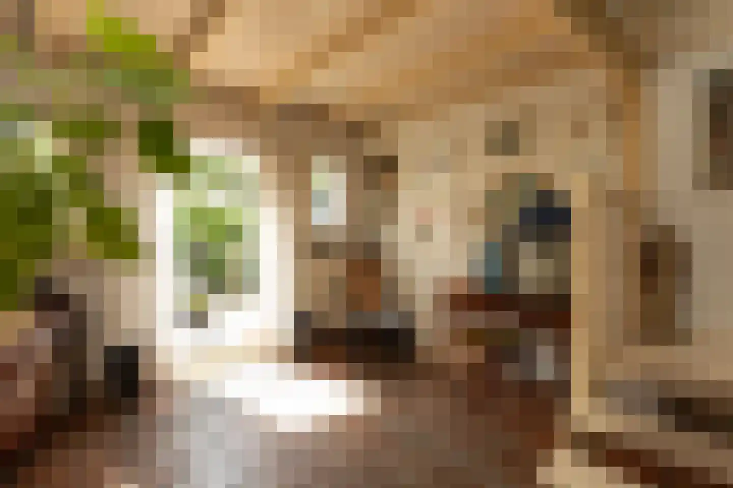 Eemdijk 21 Eemdijk thumbnail 10