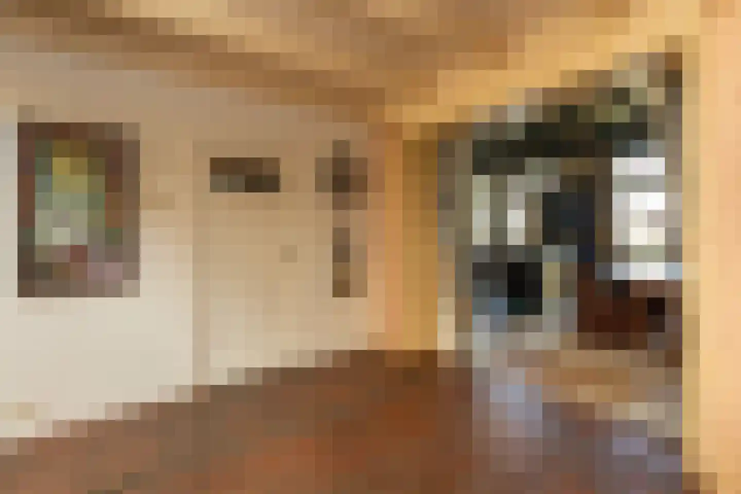 Eemdijk 21 Eemdijk thumbnail 12