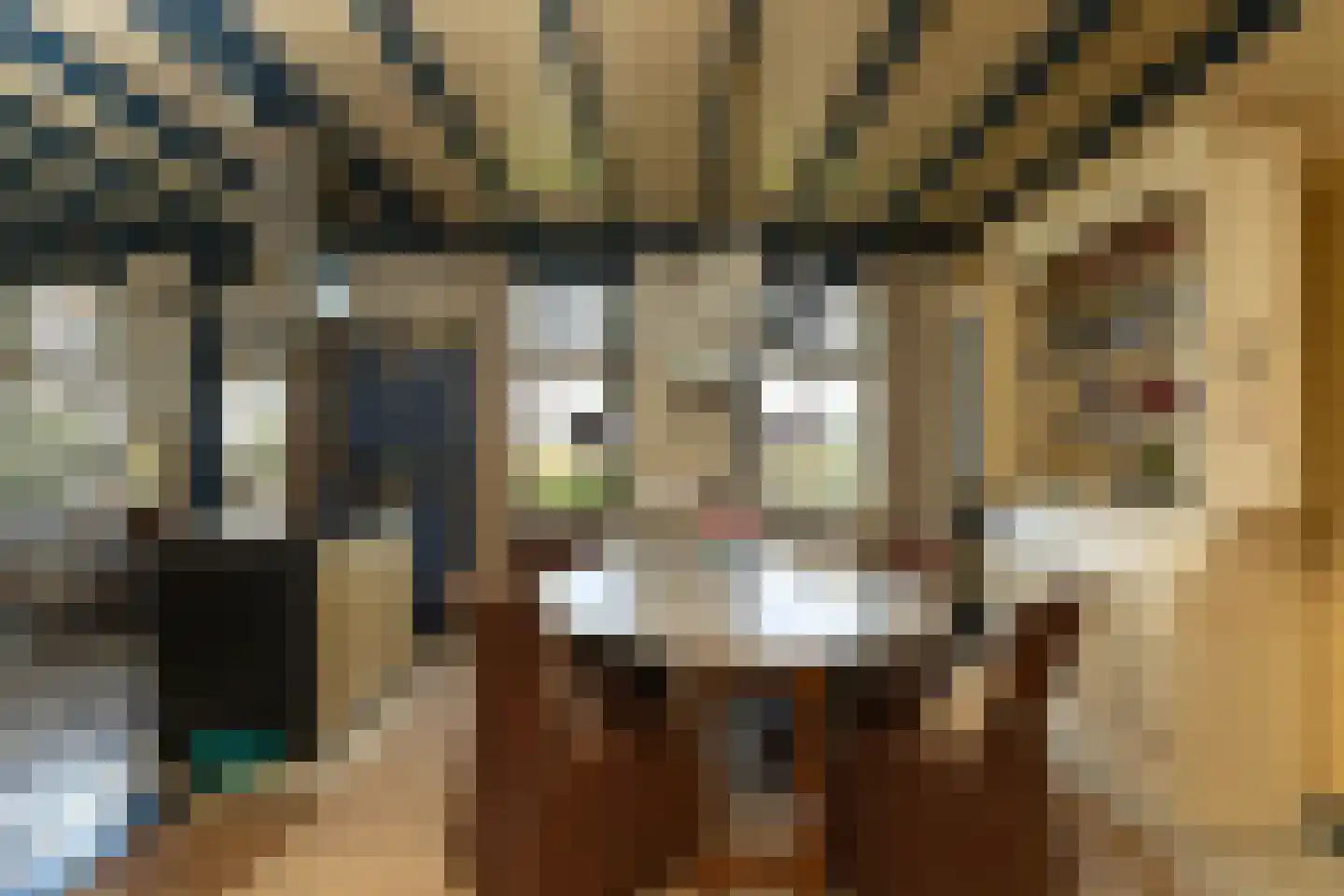 Eemdijk 21 Eemdijk thumbnail 13
